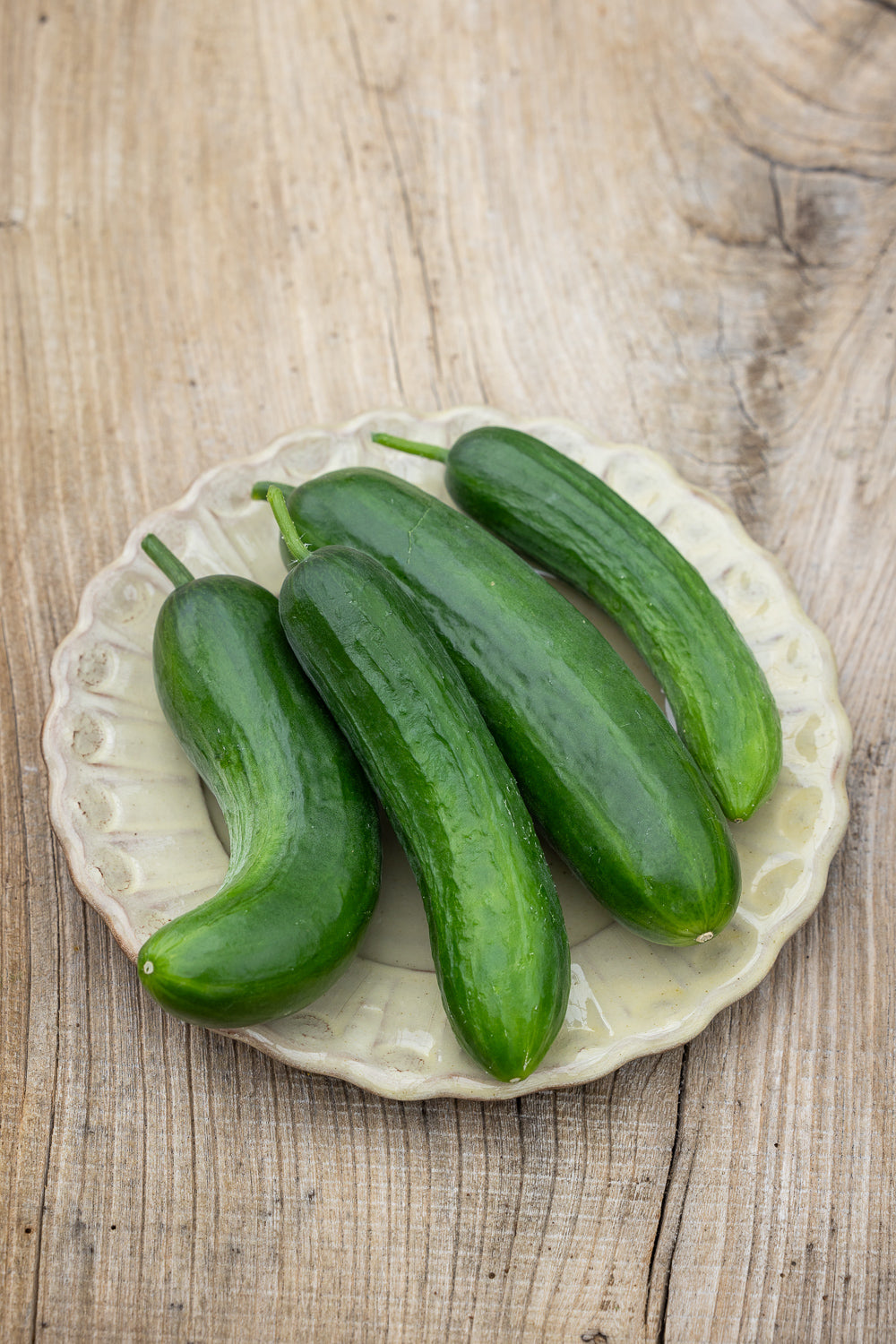 How to plant, grow & care for cucumbers