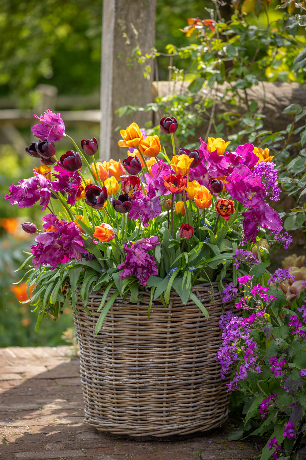 How to plant a bulb lasagne
