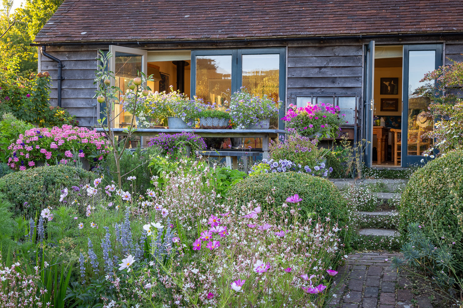 August in the garden