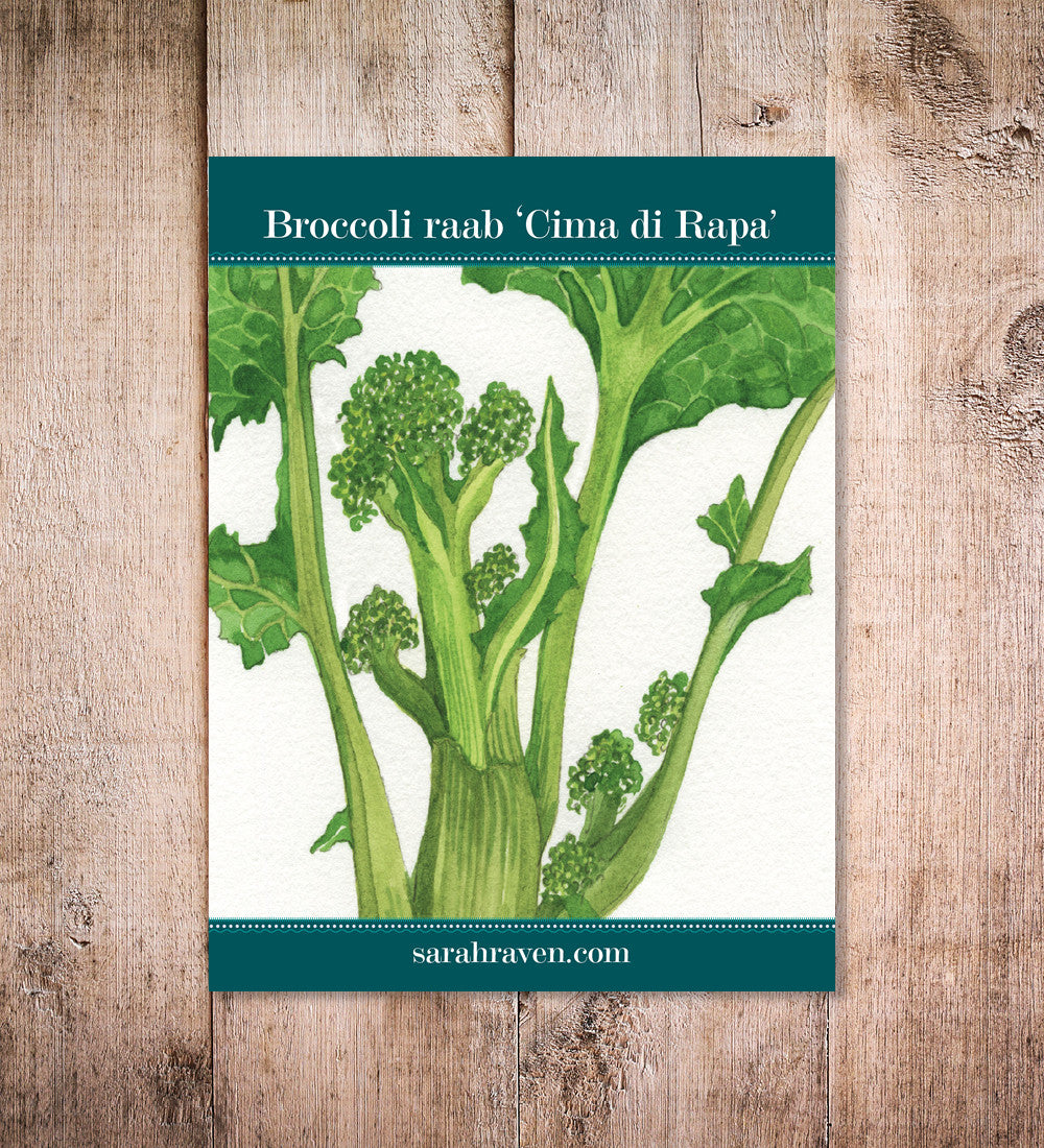 Broccoli Raab (Cima di Rapa)