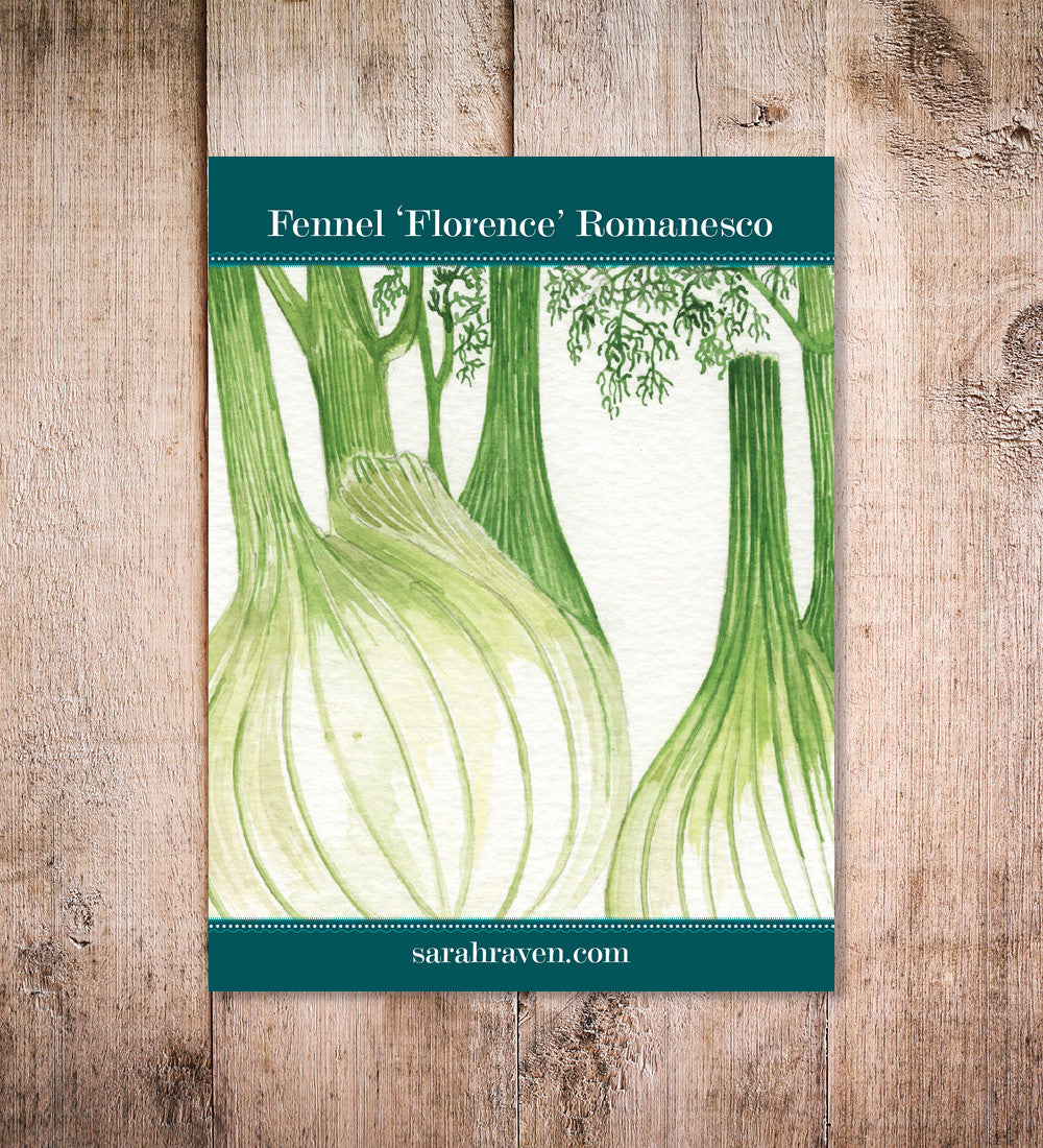 Florence Fennel 'Romanesco'