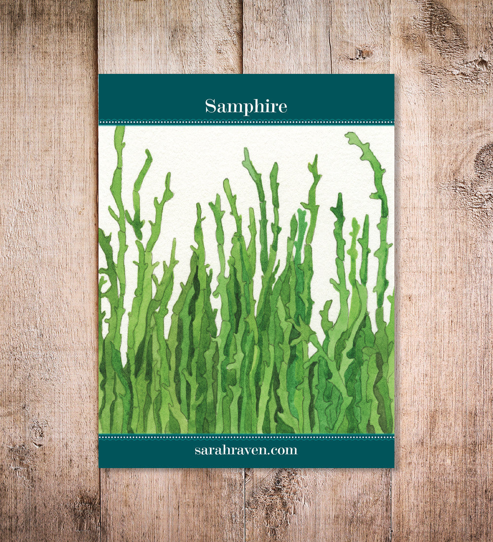 Samphire (Salicornia europaea)