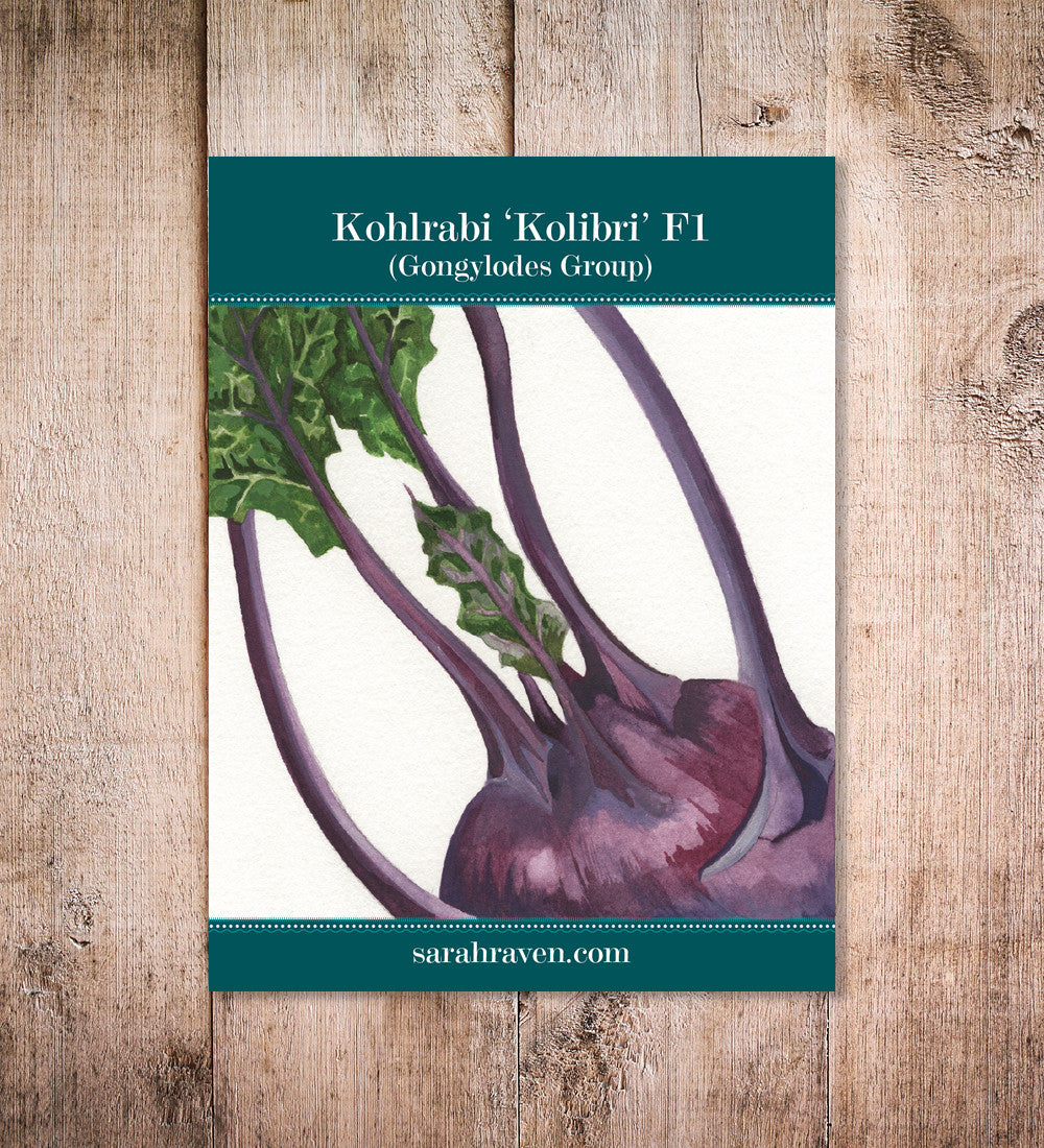 Kohlrabi 'Kolibri' F1 (Gongylodes Group)