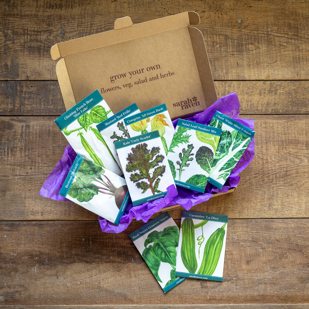 Everyday Veg Seed for Small Plots Letterbox Collection