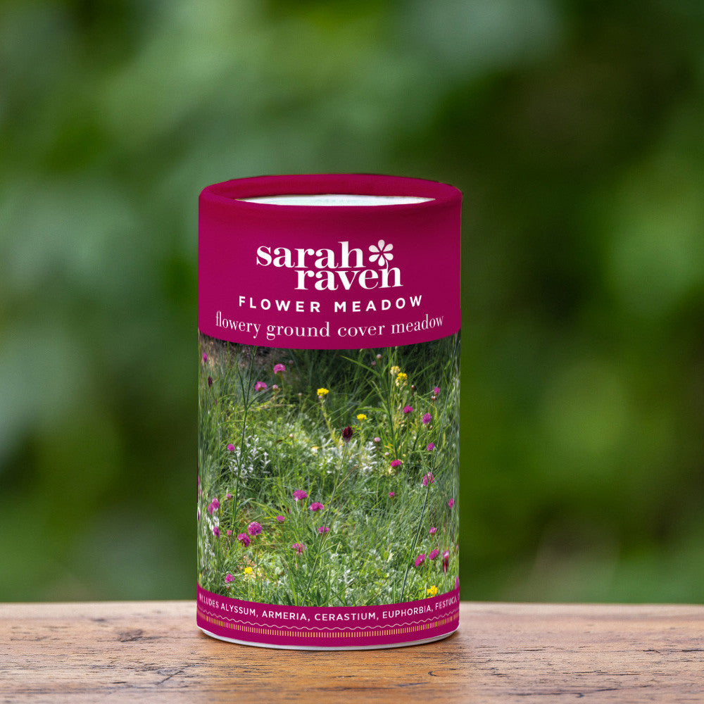 Flowery Ground Cover Meadow