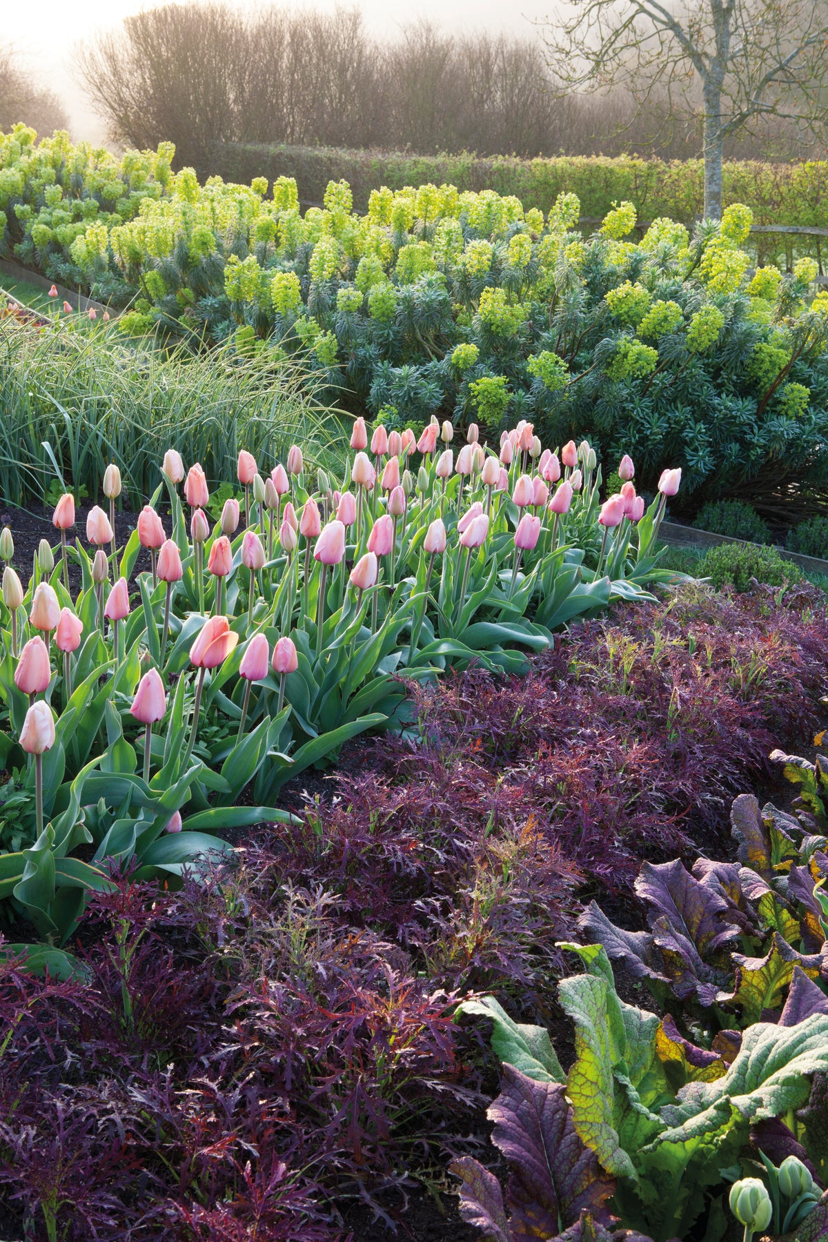 Year Round Veg with Sarah Raven at Ham Court, Bampton