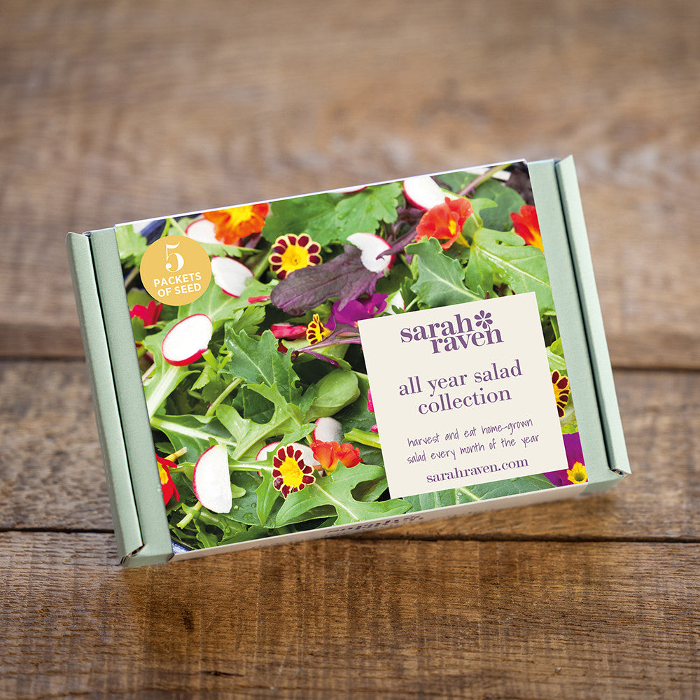 All Year Salad Seed Gift Box Collection