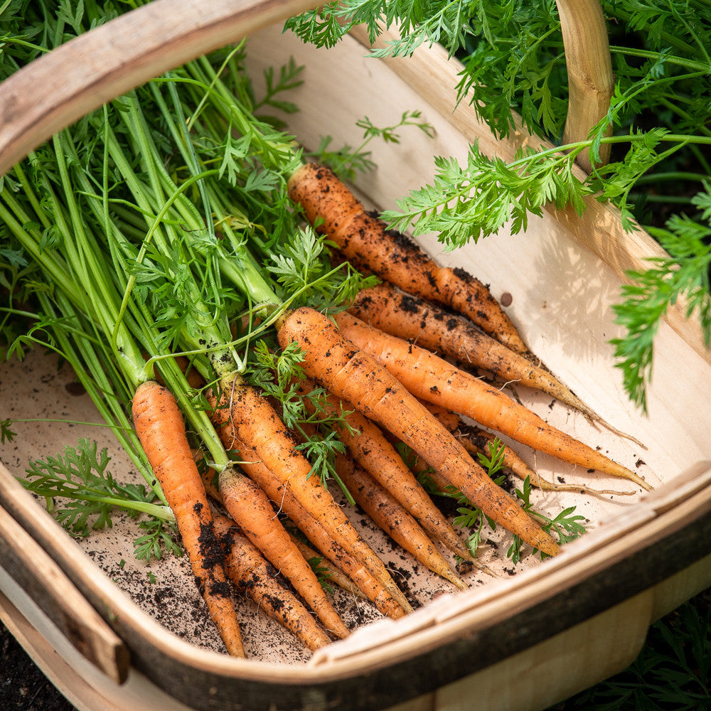 Fuss Free Easy Veg Collection