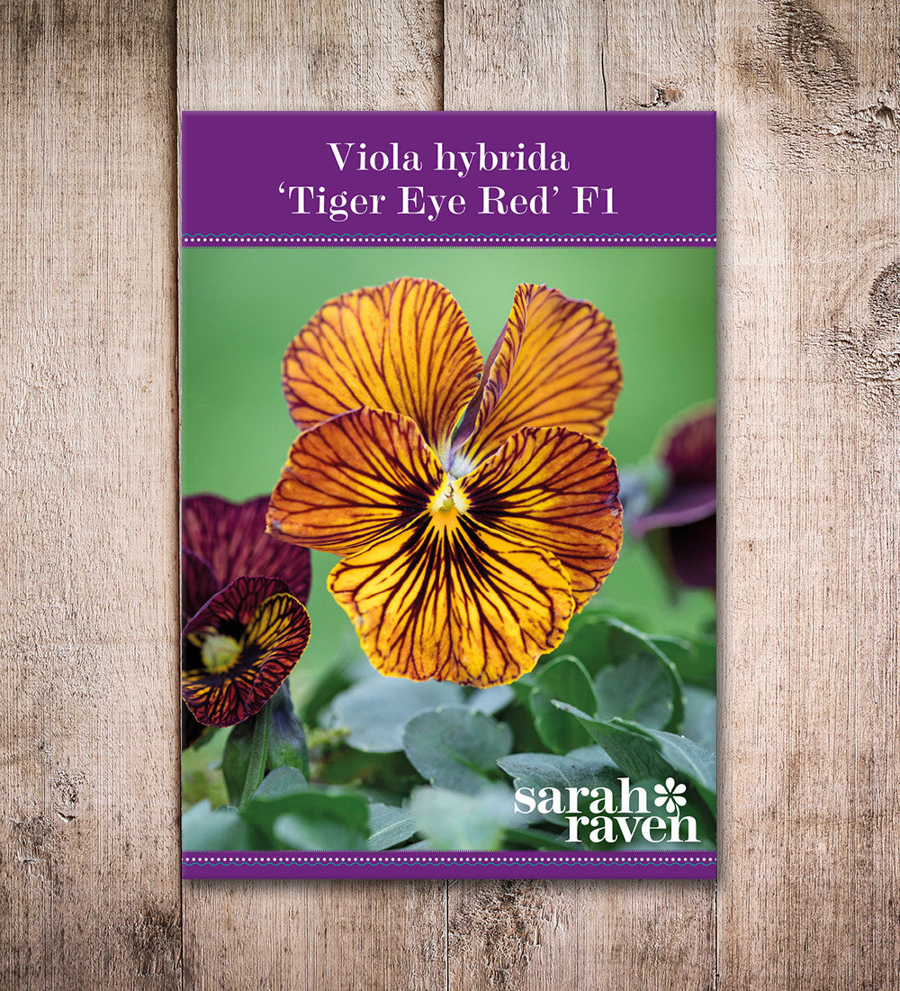 Viola cornuta 'Tiger Eye Red' F1