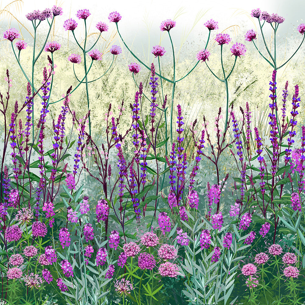 Chalky Soil Border Collection