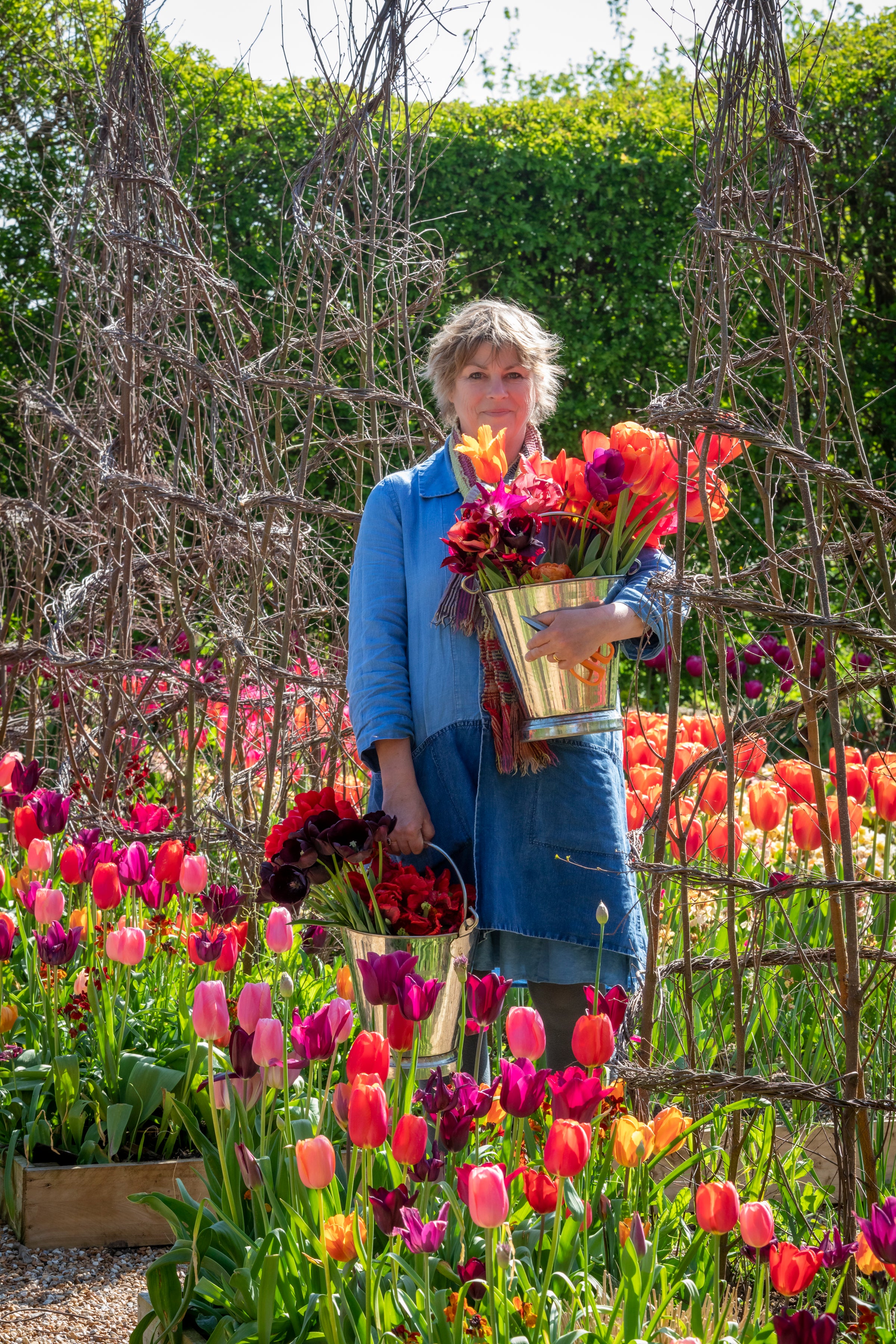 Understanding the 15 different tulip groups | Sarah Raven
