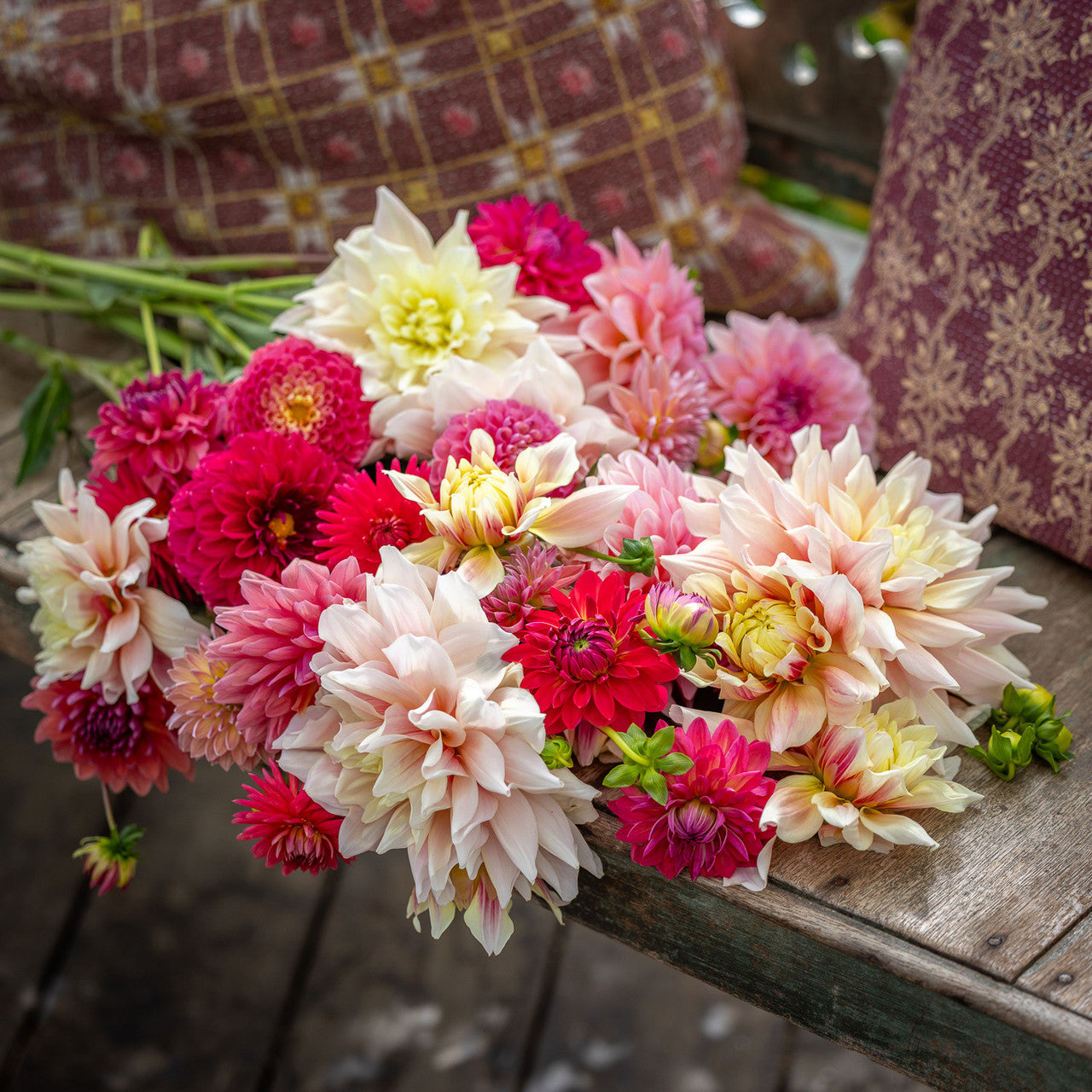 Bea's Summer Dahlia Collection