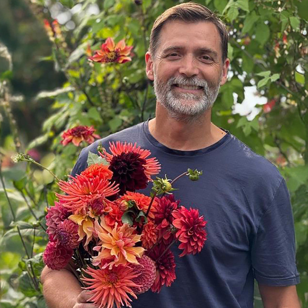 Patrick Grant's Dahlia Collection