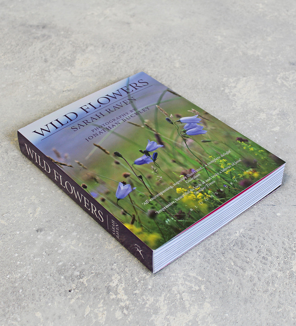 Sarah Raven's Wild Flowers