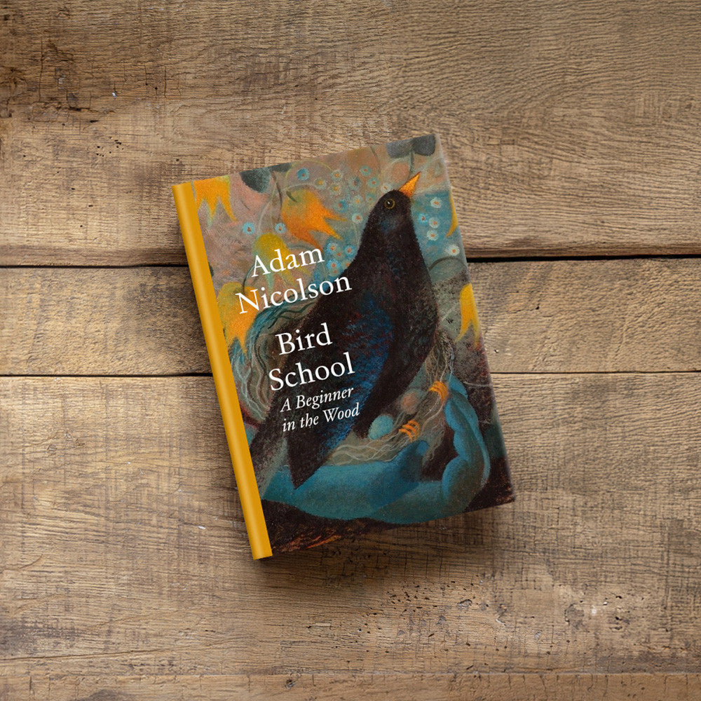 Bird School: A Beginner in the Wood