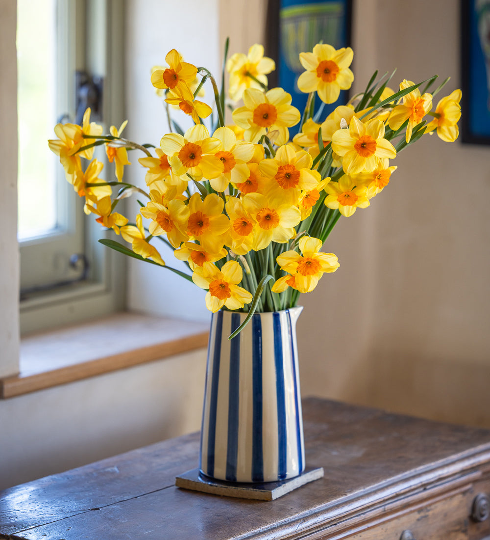 Narcissus 'Kedron'