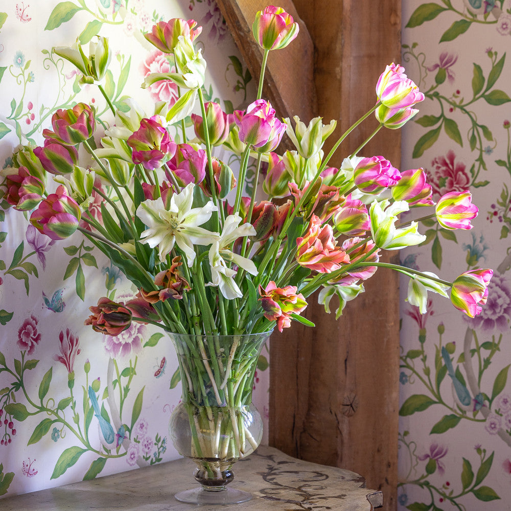 Super Perennial Tulip Mix