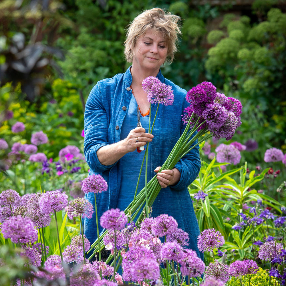 Allium Collection