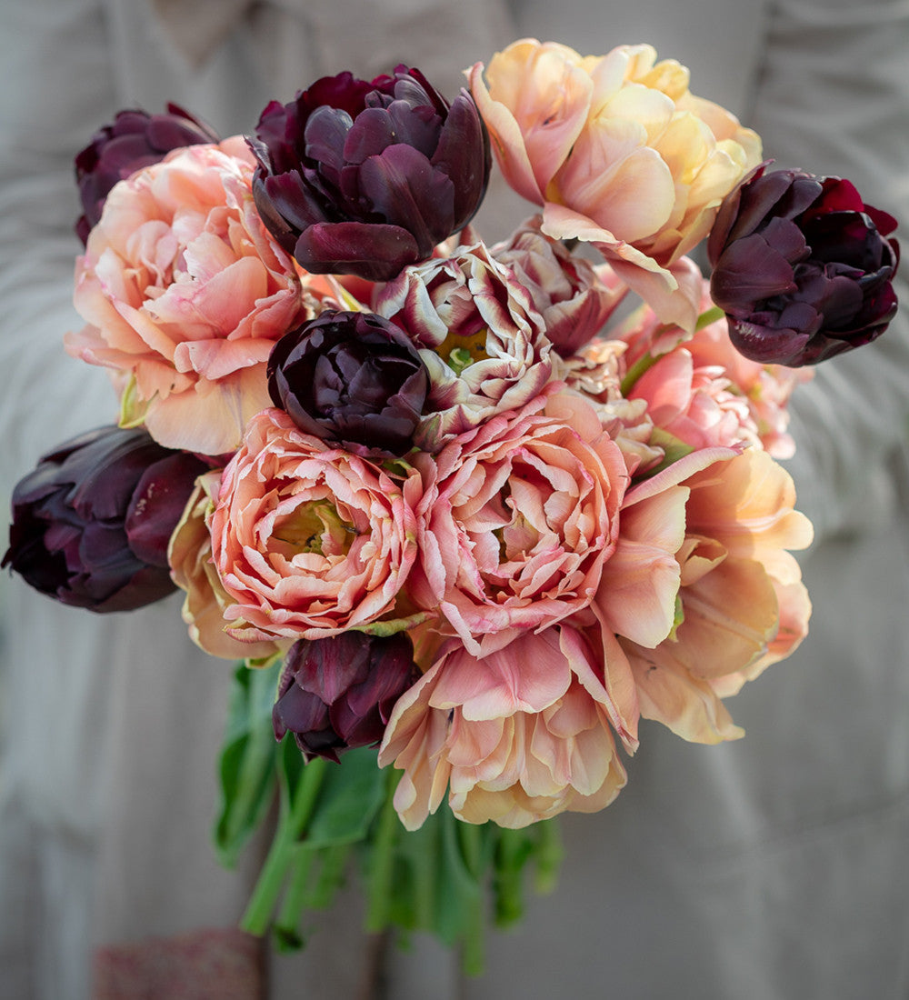 Sweet Wine Tulip Collection