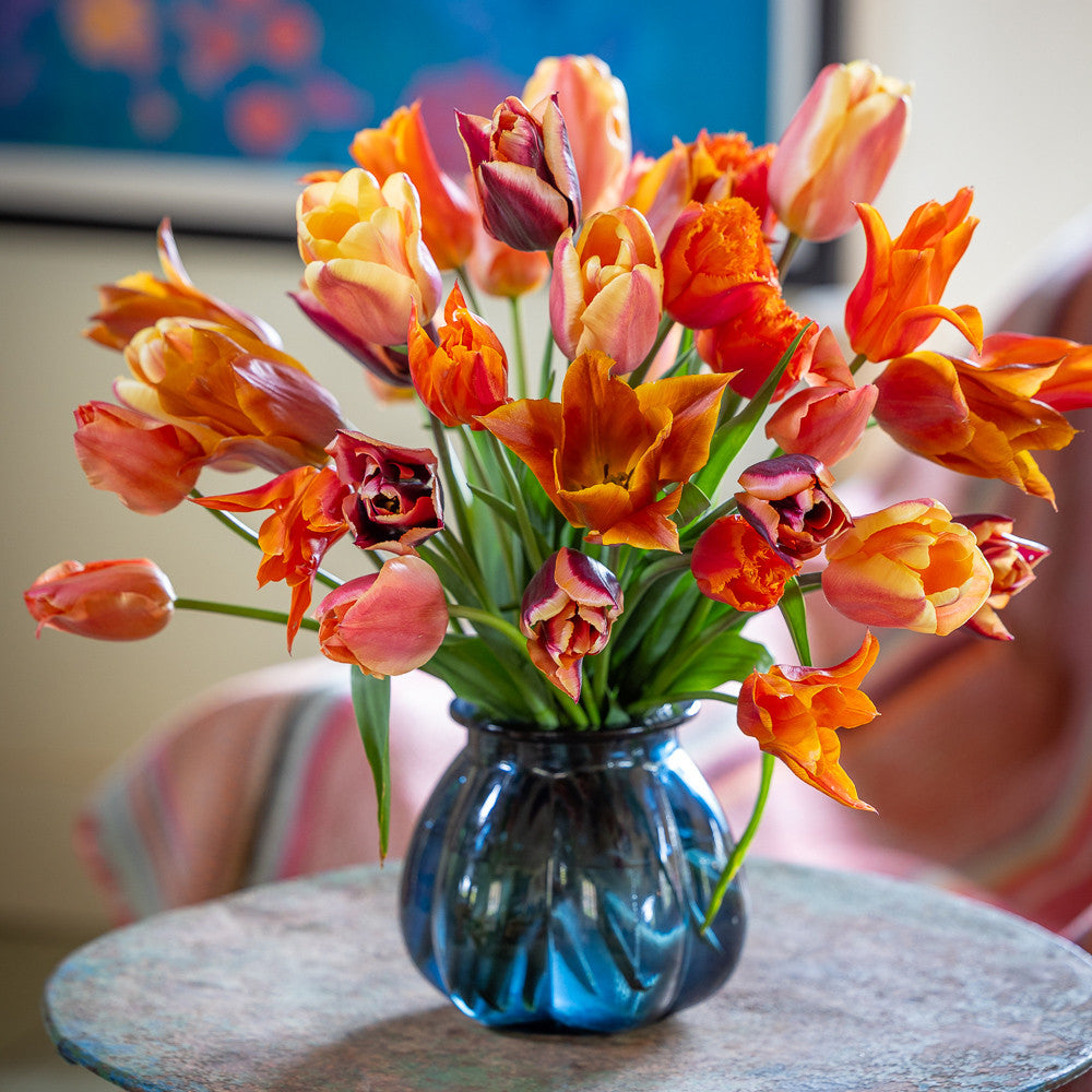 Best Orange Tulip Collection