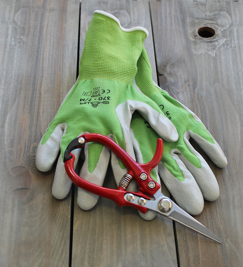 Favourite Gloves