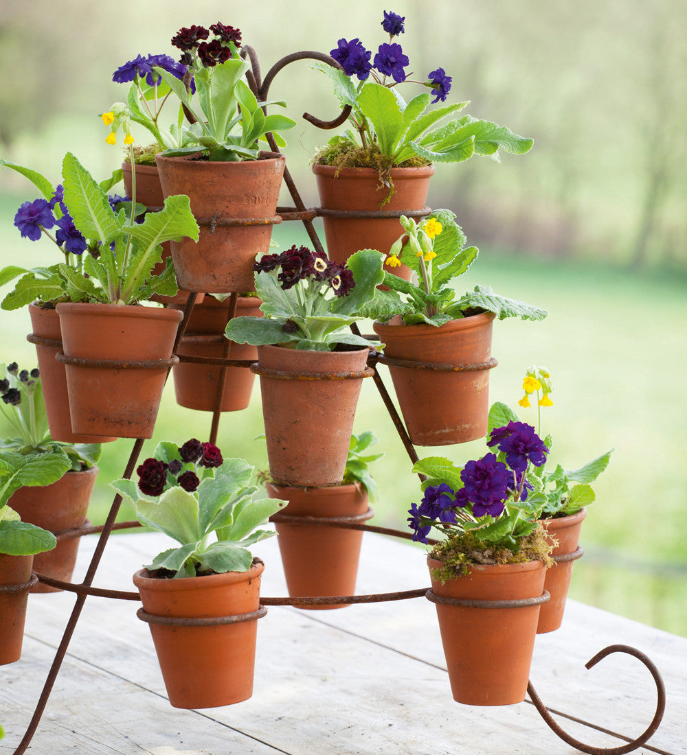 Tabletop Plant Theatre