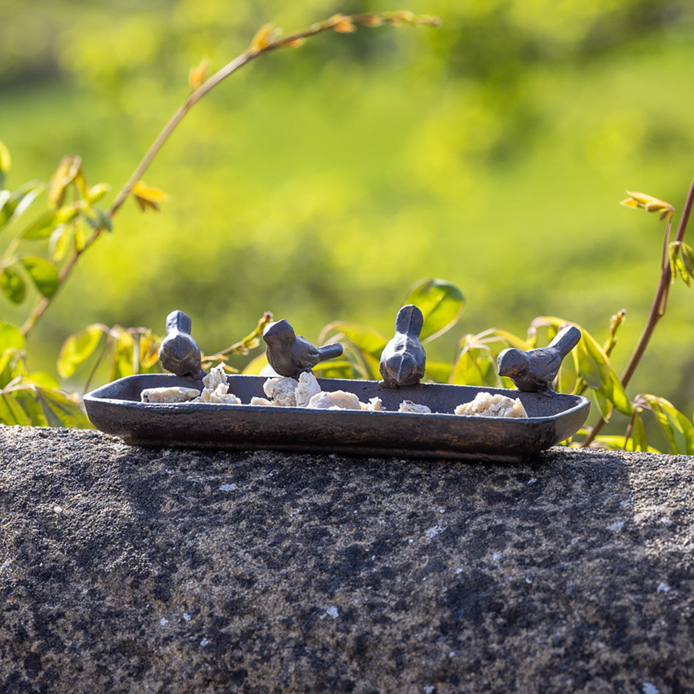 Bird Feeder Tray