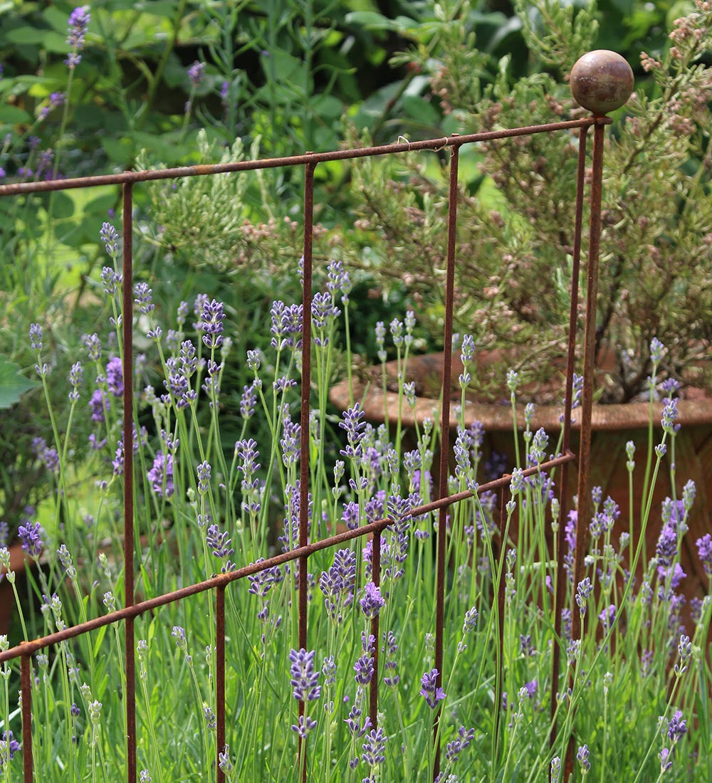 Plant Screen