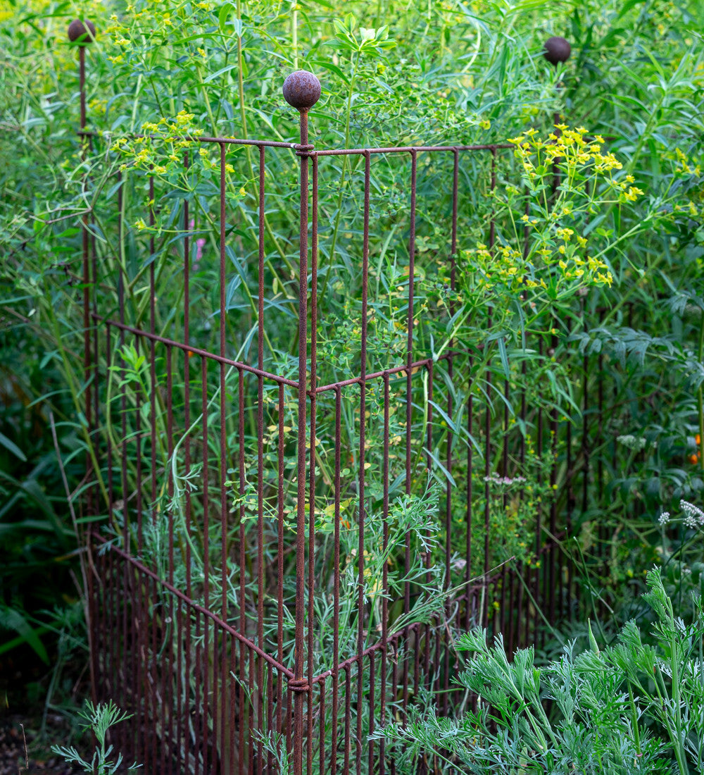Plant Screen