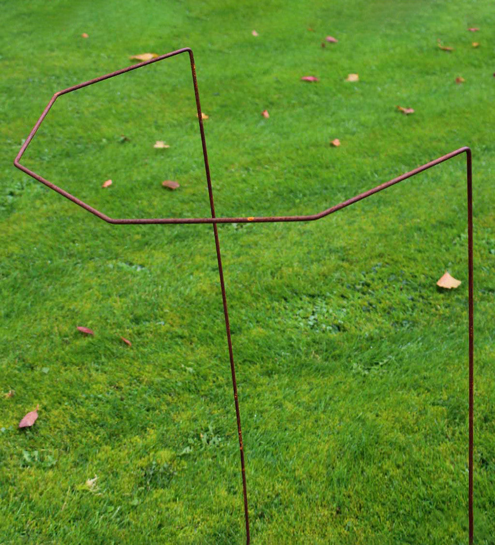 Rustic Herbaceous Supports