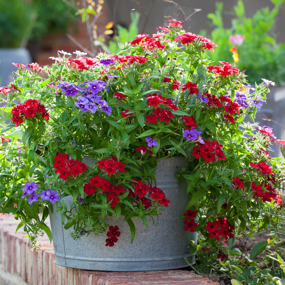 Large Zinc Planter