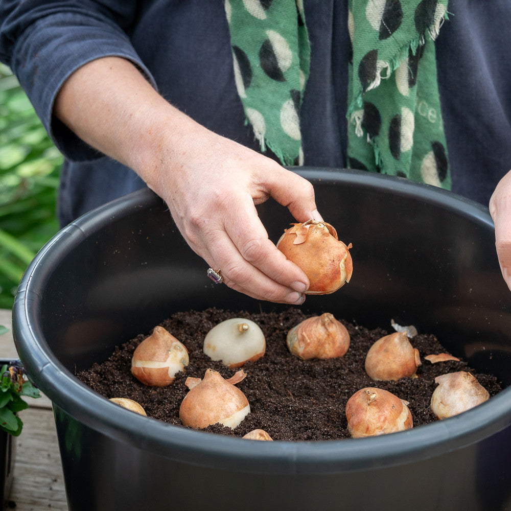 Pots for Successional Planting