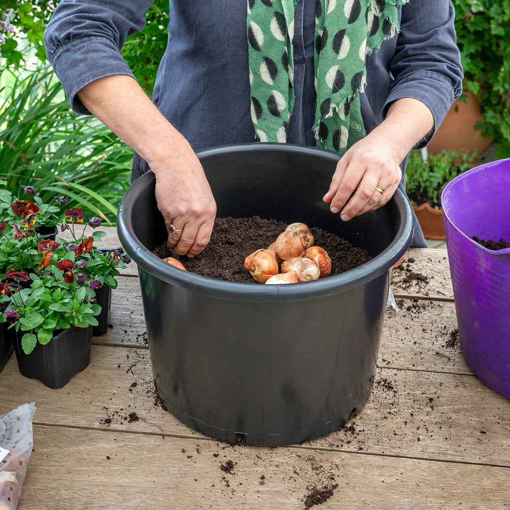 Pots for Successional Planting