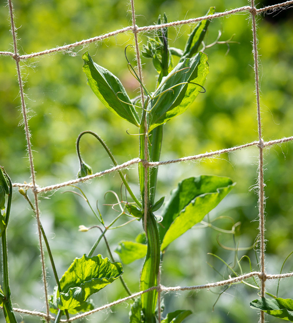 Natural Jute Netting