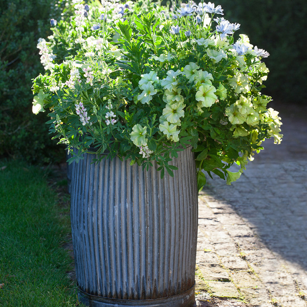 Ribbed Planters