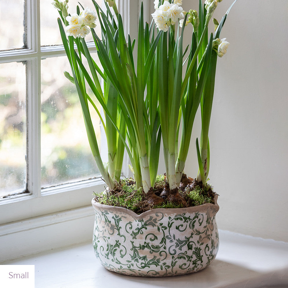 Wavy Edged Green Ceramic Bowls