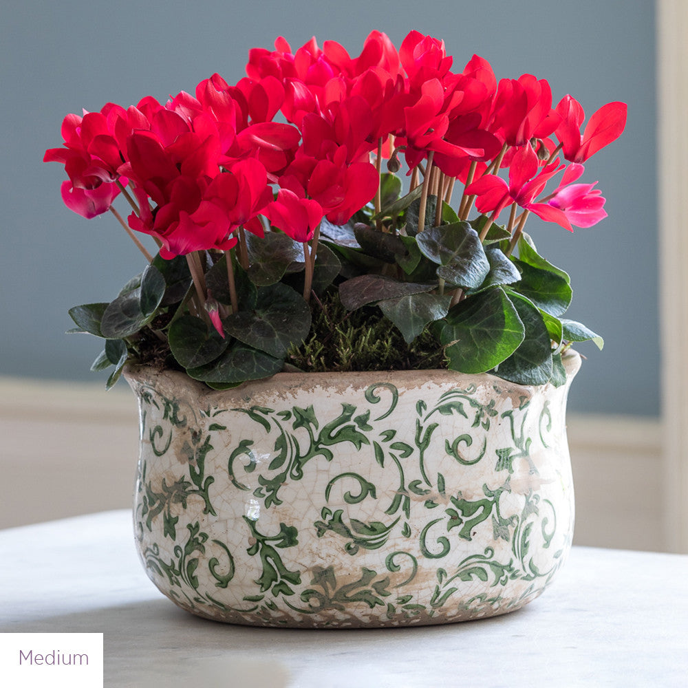 Wavy Edged Green Ceramic Bowls