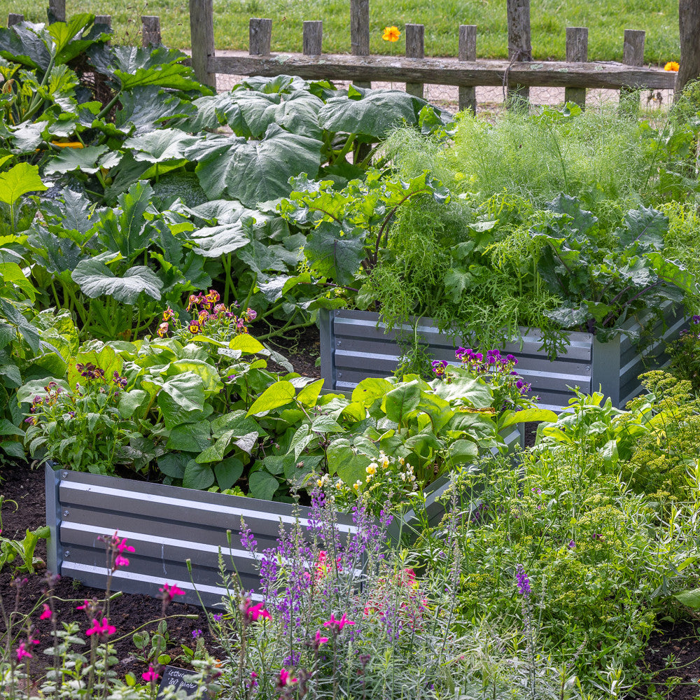 Galvanised Raised Beds
