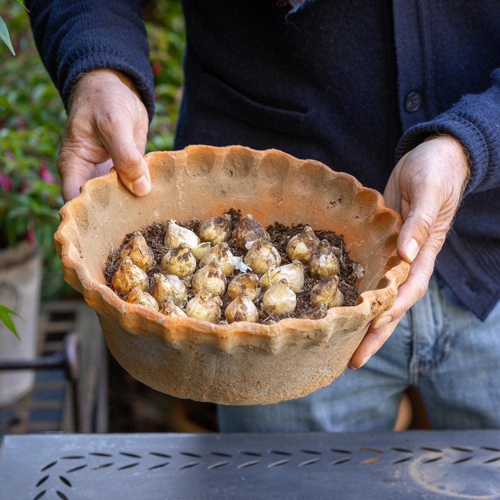 Pie Crust Terracotta Bowls