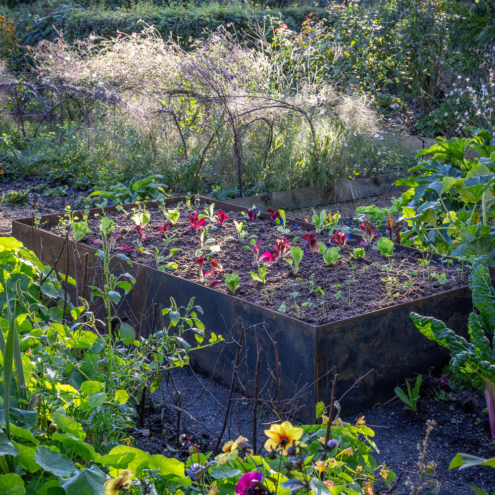 Solid Steel Raised Beds