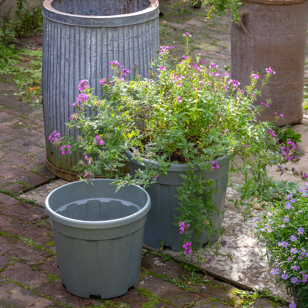 Last-a-lifetime plastic pots for successional planting