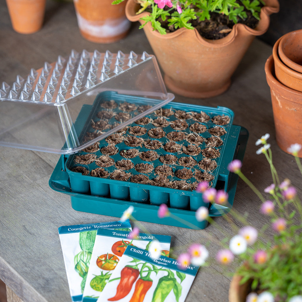 Sarah Raven Seedling Propagator