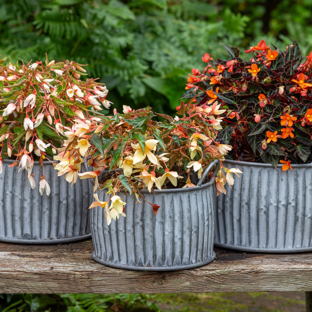 Ribbed Zinc Belly Planters | Plant Pots & Containers | Sarah Raven
