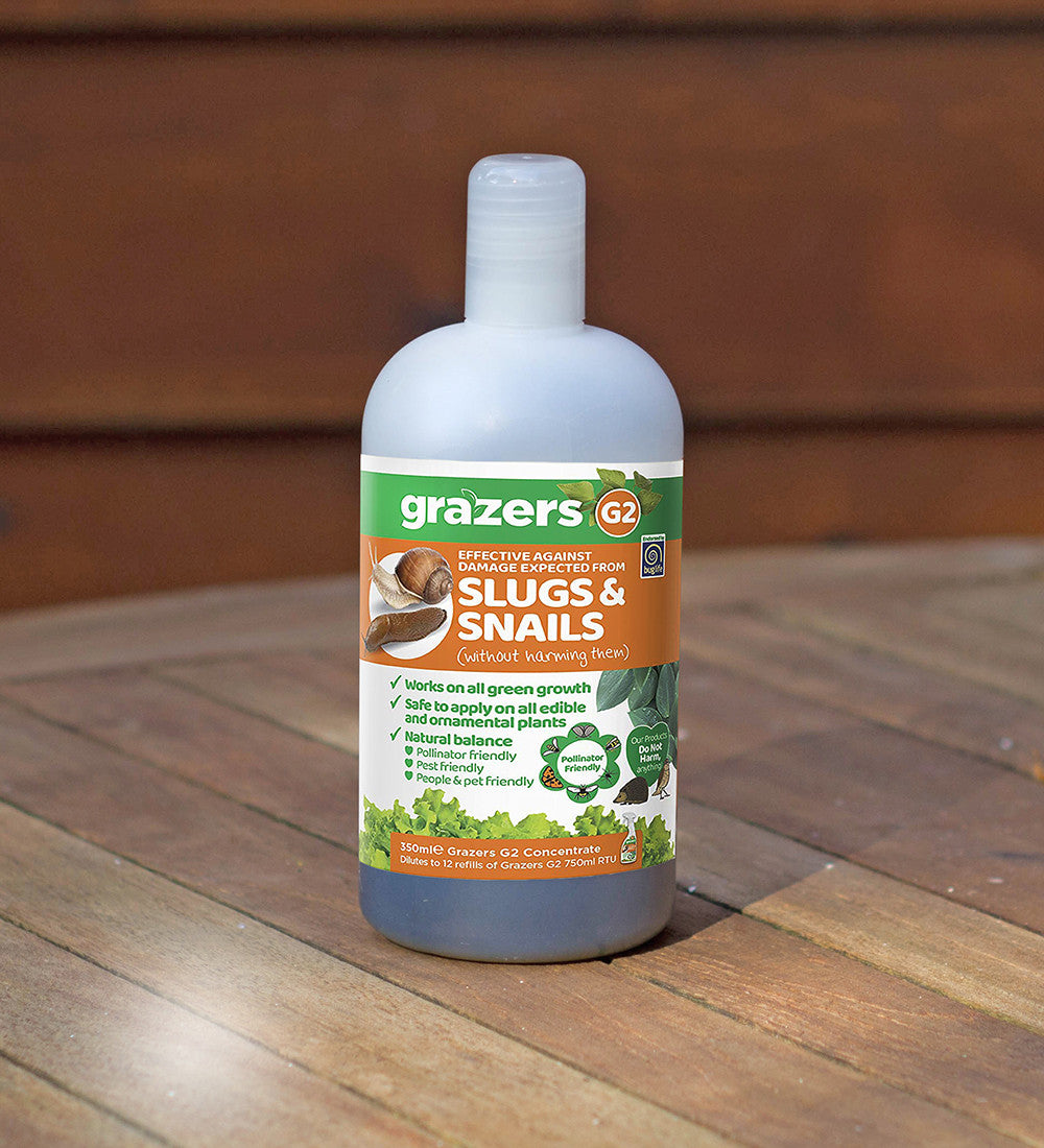 Slug and Snail Treatment