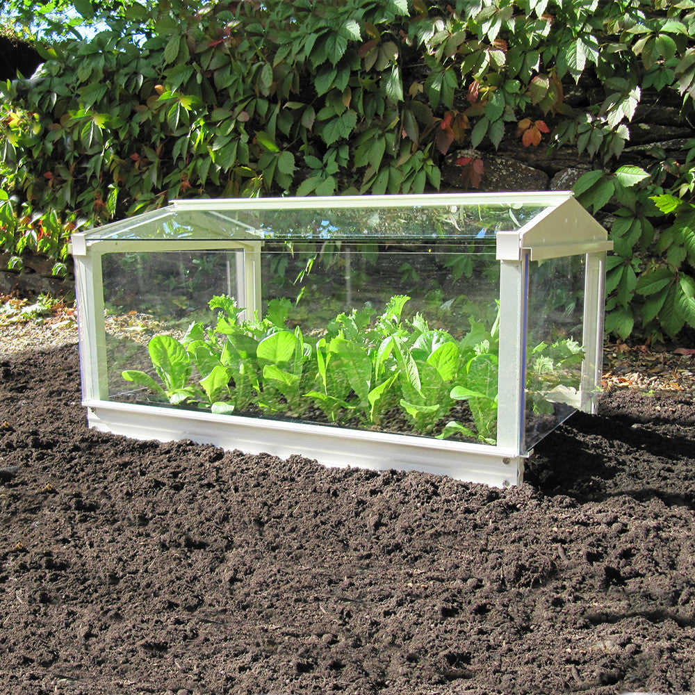 Contemporary Long Cloche