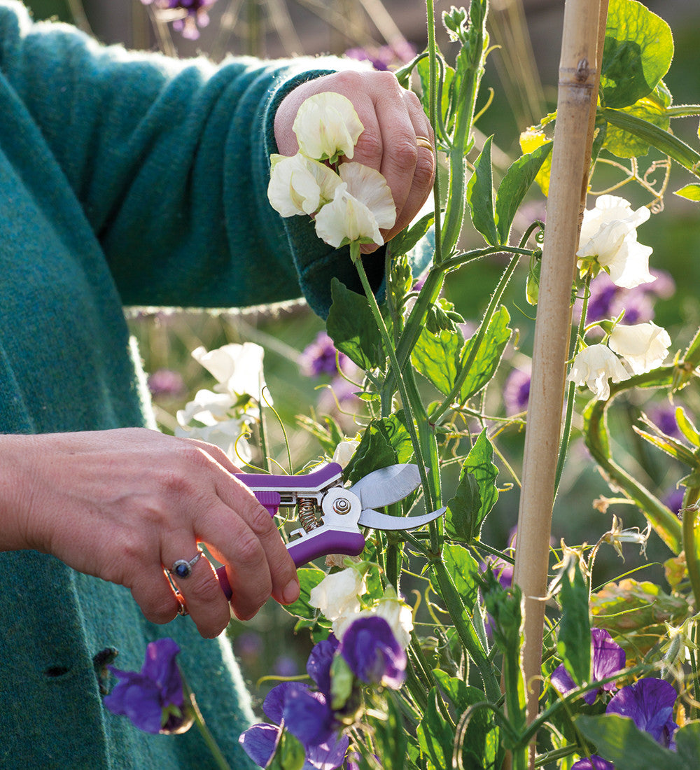 Sarah Raven Mini Secateurs Set