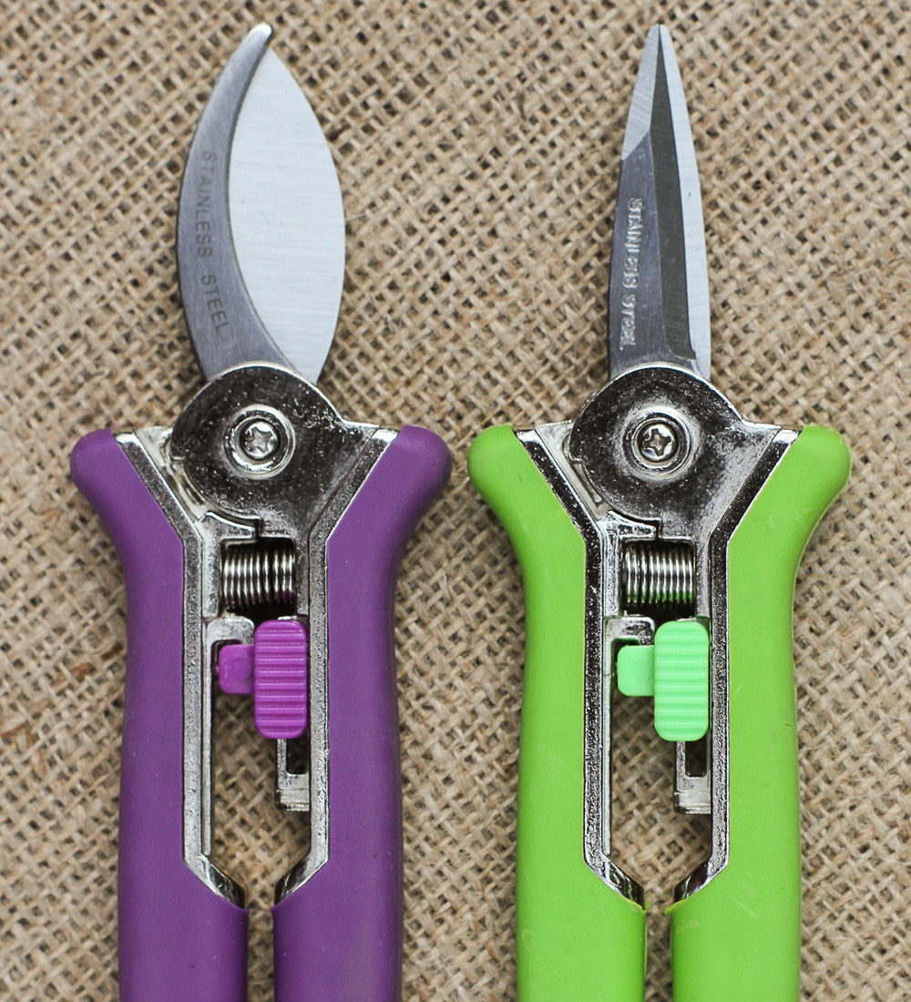 Sarah Raven Mini Secateurs Set