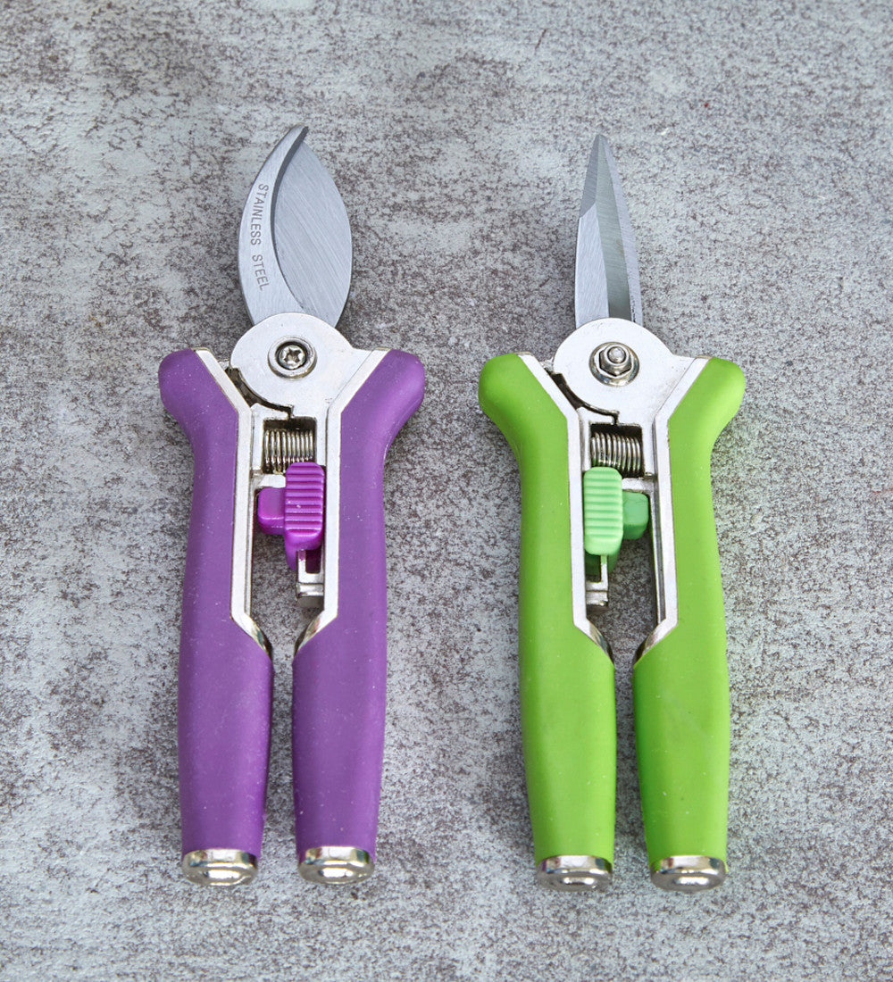 Sarah Raven Mini Secateurs Set
