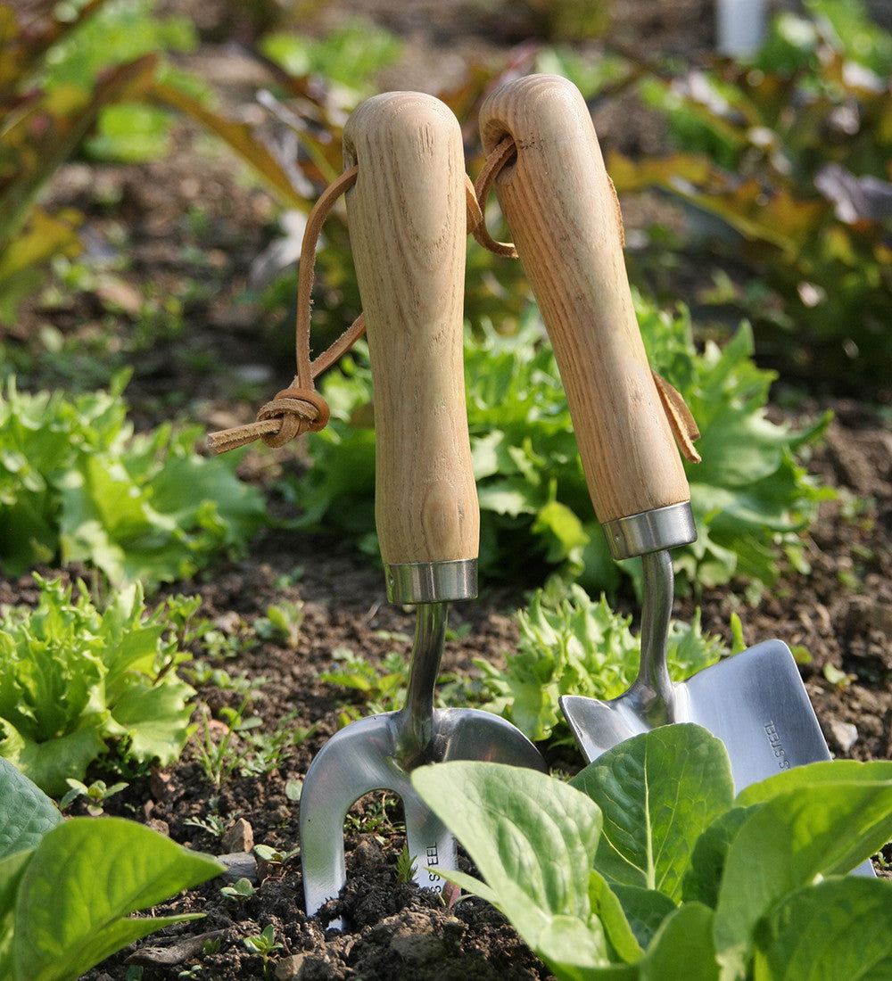 Hand Trowel