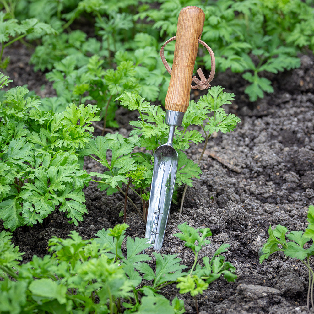 Sarah Raven Seedling Trowel